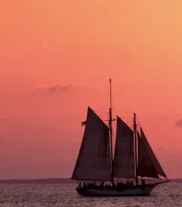 My first open source project