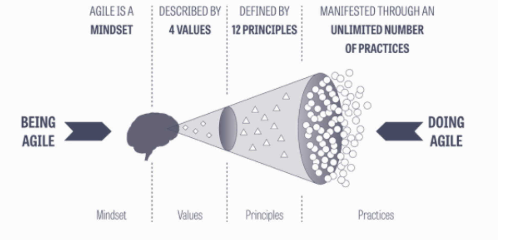 Agile Spectrum